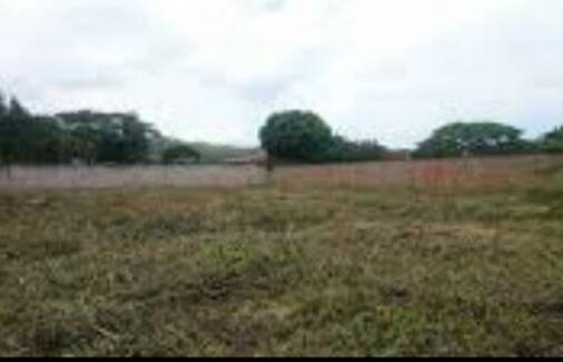 269376  En Venta Parcela mini fincas El Solar 2.275 mt2, Guataparo, Valencia, Carabobo. Remate