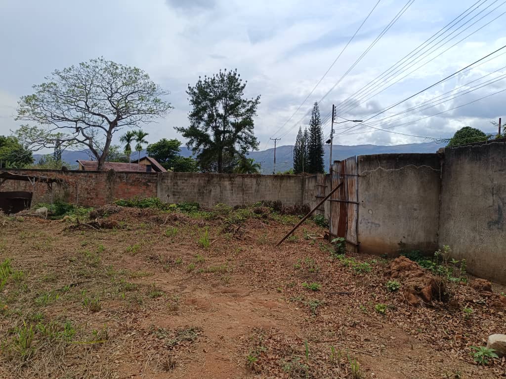 269376  En Venta Parcela mini fincas El Solar 2.275 mt2, Guataparo, Valencia, Carabobo. Remate